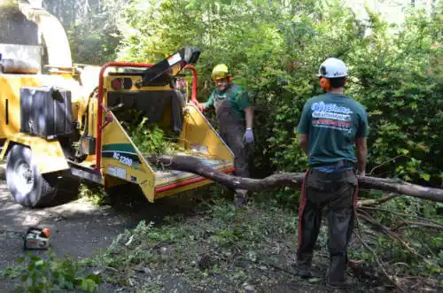 tree services Decorah